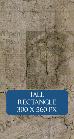 Reporter Monthly - Tall Rectangle Ad